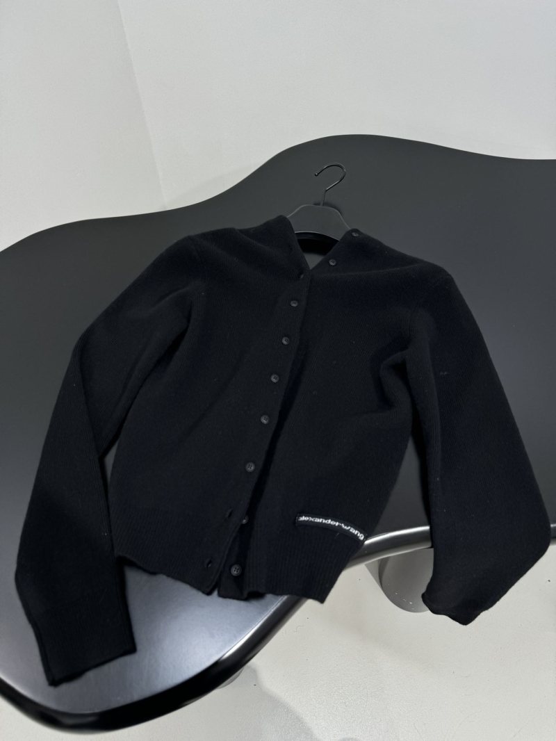 A1exa*der wang sweater